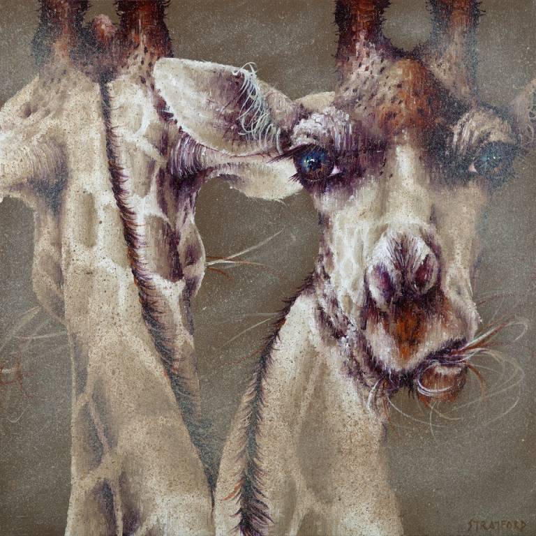 Look Both Ways - Amanda Stratford
