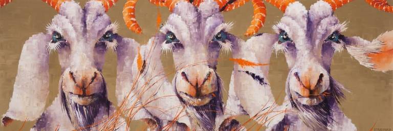 Capra, Capra, Capra! - Amanda Stratford