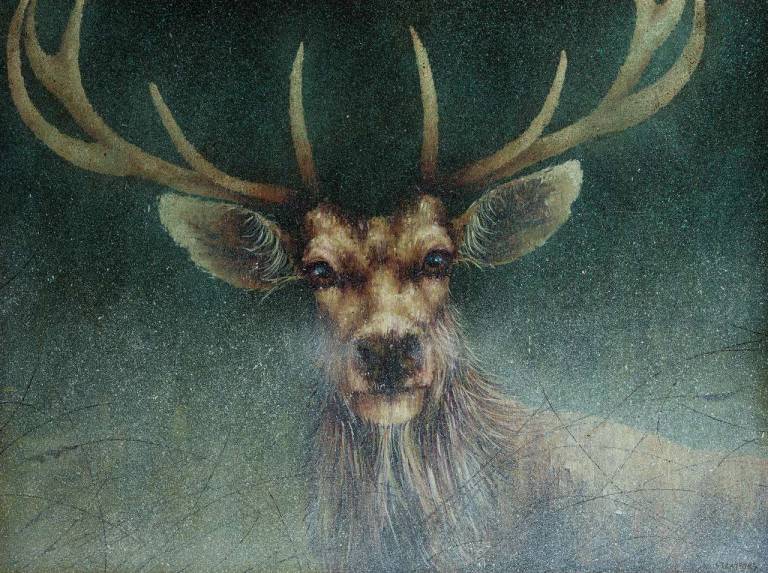 Still (SOLD) - Amanda Stratford