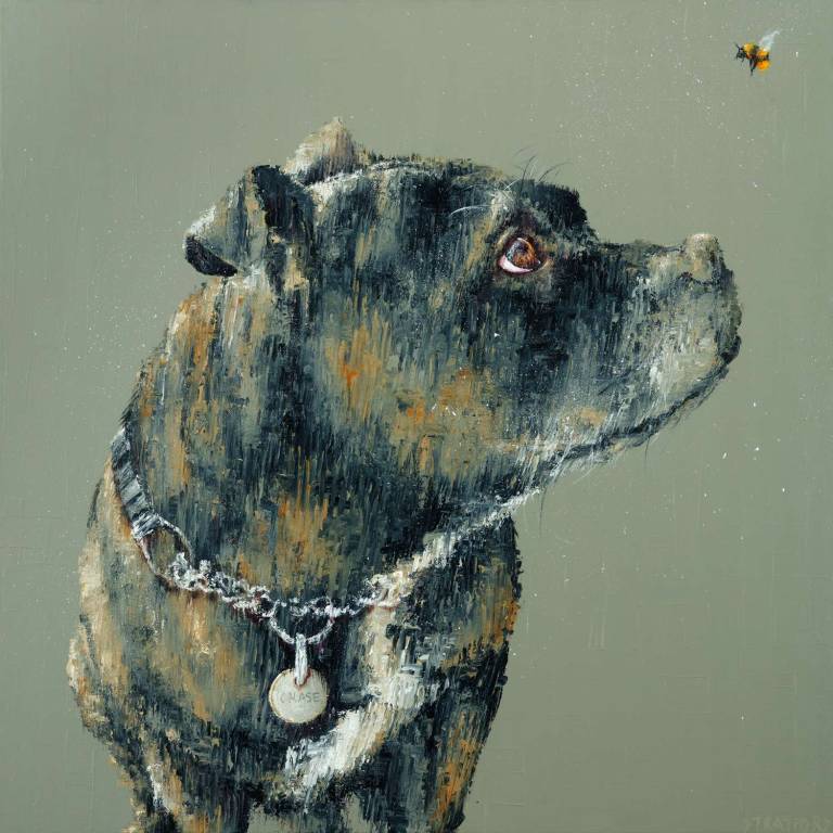 Chase (SOLD) - Amanda Stratford