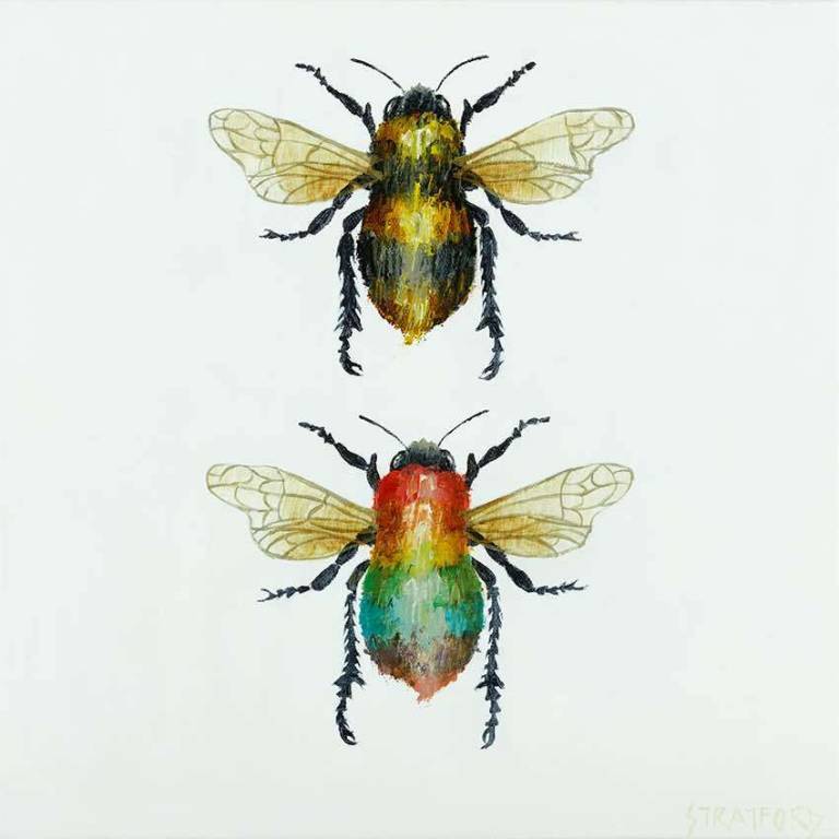 Bee motif for UnboxedKent, Canterbury (SOLD) - Amanda Stratford