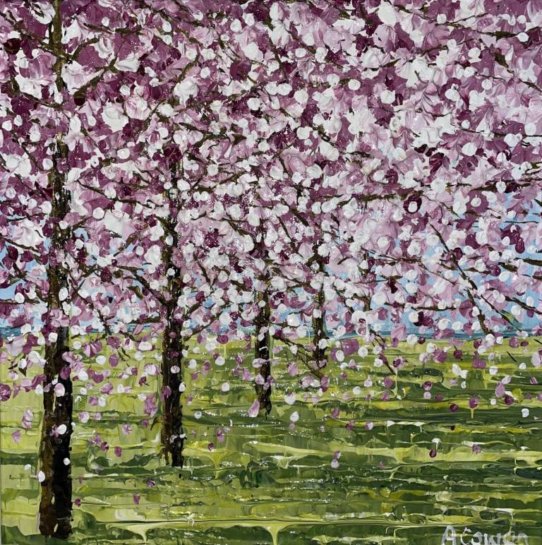 Blossom Row - Alison Cowan