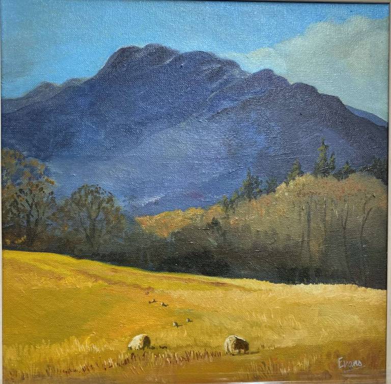 Grazing In Gold - Margaret Evans