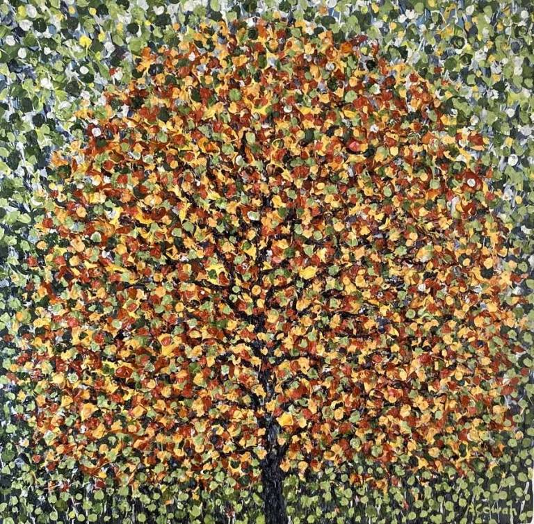 Autumn Tree - Alison Cowan