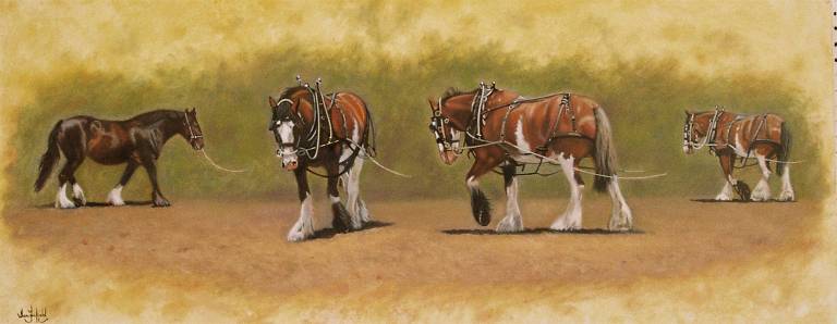 Shire Horses  SOLD - Ian Fifield