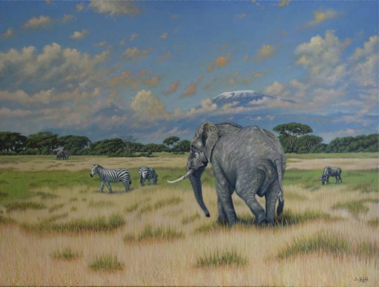 Elephant at Amboseli with backdrop of Mount Kilimanjaro - Ian Fifield