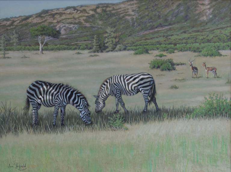 Zebras taking Shade on a Mara Afternoon - Ian Fifield