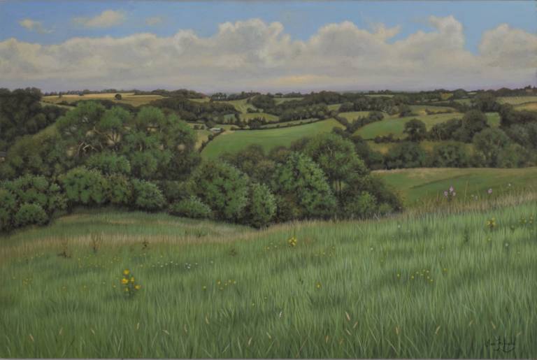 Rolling Hills in Somerset - Ian Fifield