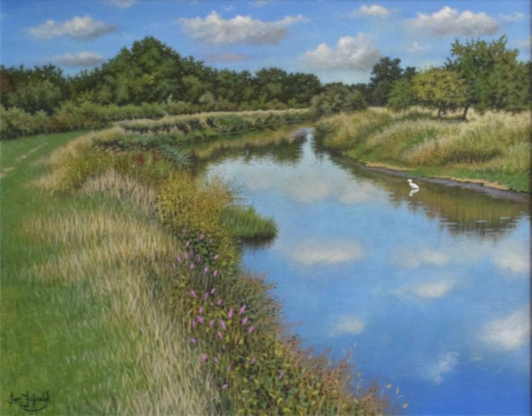 Sunny Day on the River Otter, Devon 2 - Ian Fifield