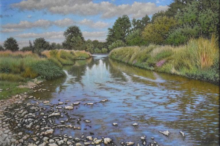 A Sunny Day on the River Otter - Ian Fifield