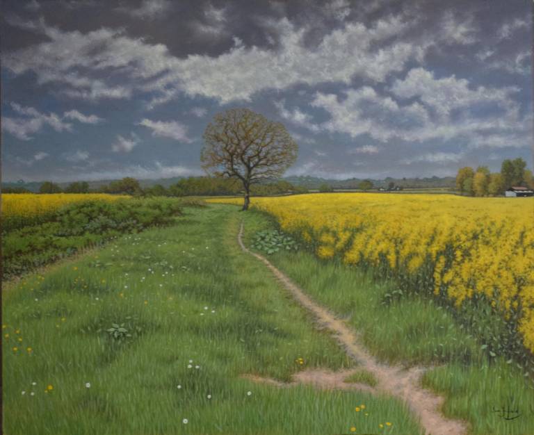 Footpath through the Rapeseed Flowers near Thurlbear SOLD - Ian Fifield