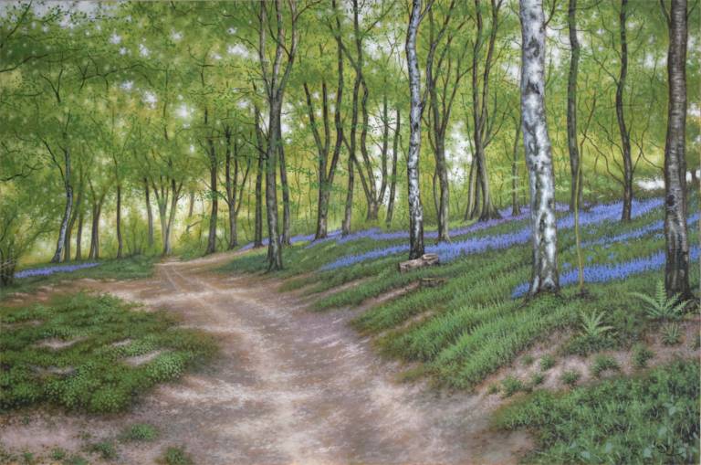 A Late Spring Time Walk in the Woods (SOLD) - Ian Fifield