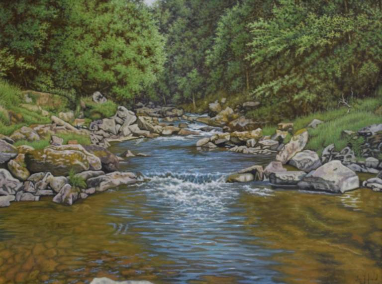 A View of the River Lyn, Devon - Ian Fifield