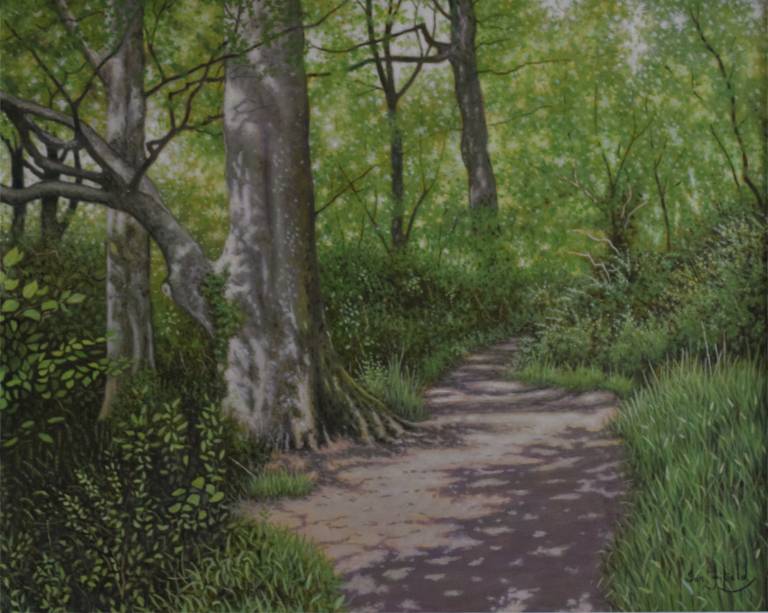 Dappled Light on a Wooded Path - Ian Fifield