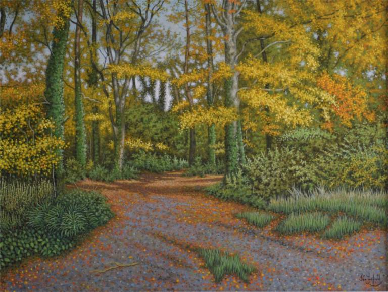 An Autumn Day in the Woods - Ian Fifield