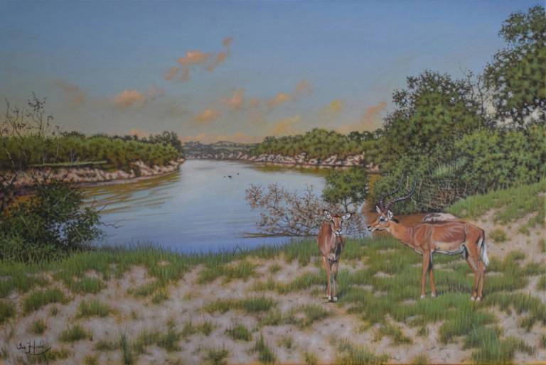 Late Afternoon on the Mara River - Ian Fifield