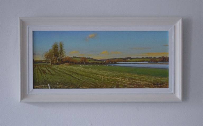 The Distant Flood in the Fields - Ian Fifield