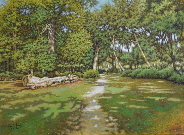 A Walk in the Woods, New Forest - Ian Fifield