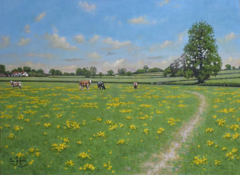 A Path through a Field. Thorne Coffin - Ian Fifield