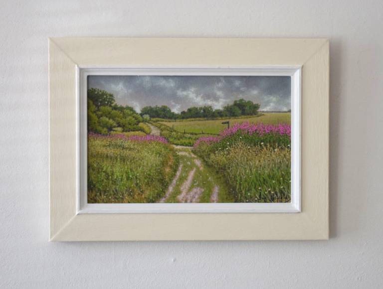 A splash of colour on the Path - Ian Fifield