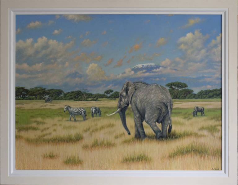 Elephant at Amboseli with backdrop of Mount Kilimanjaro - Ian Fifield