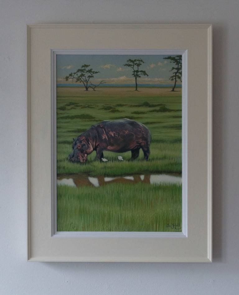 Hippo, Marshes at Amboseli - Ian Fifield