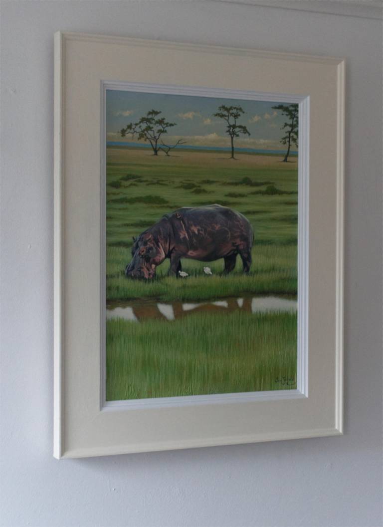 Hippo, Marshes at Amboseli - Ian Fifield