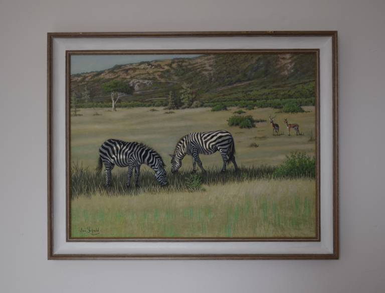 Zebras taking Shade on a Mara Afternoon - Ian Fifield