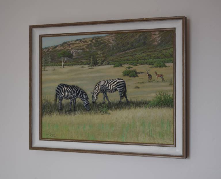 Zebras taking Shade on a Mara Afternoon - Ian Fifield