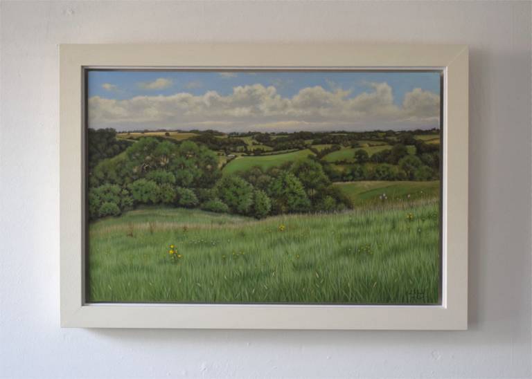 Rolling Hills in Somerset - Ian Fifield