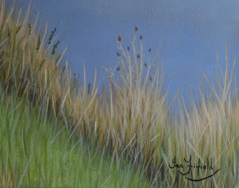 Room 12 - Sunny Day on the River Yeo, Somerset - Ian Fifield