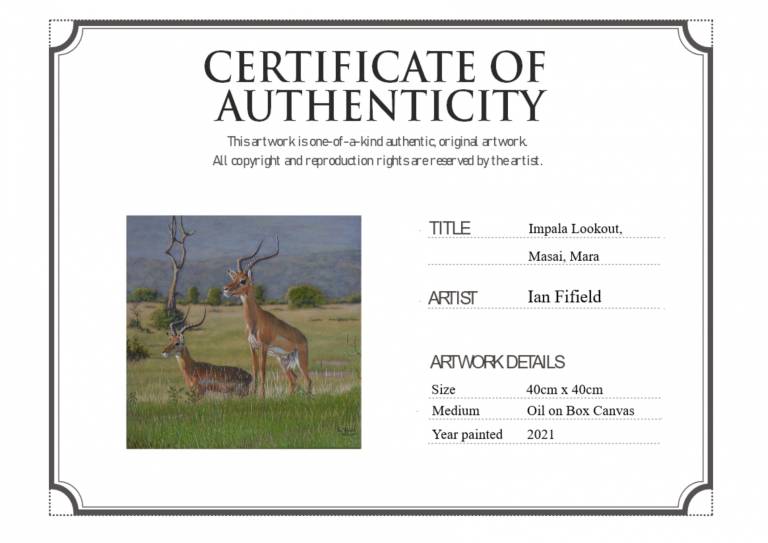 Impala Lookout, Masai Mara - Ian Fifield