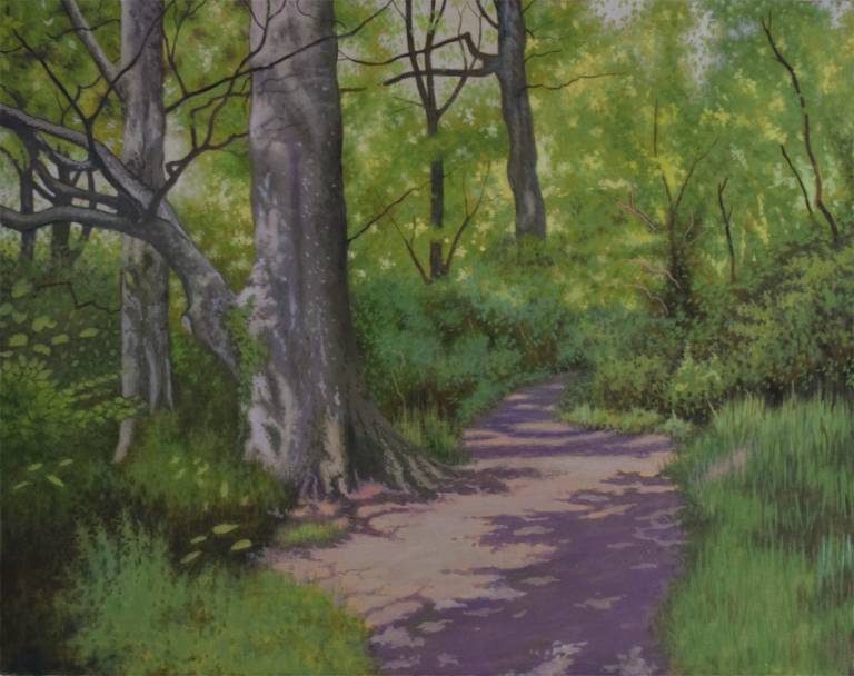 Dappled Light on a Wooded Path - Ian Fifield