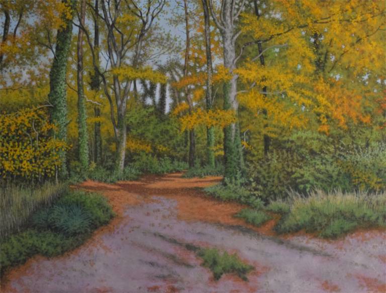 An Autumn Day in the Woods - Ian Fifield