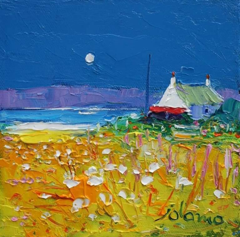 Wild Field Isle of Gigha 6x6 - John Lowrie Morrison