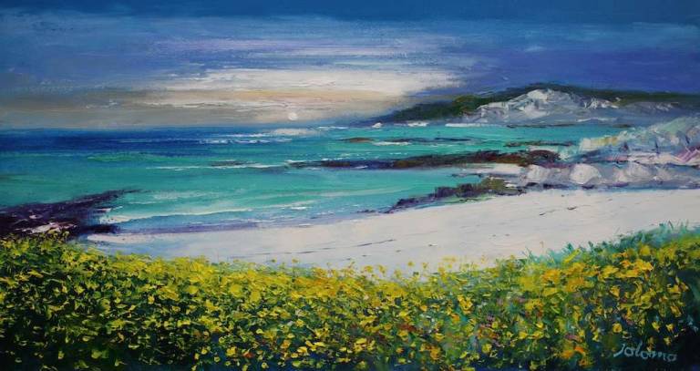 Machair Flowers Isle of Eriskay 16x30 - John Lowrie Morrison