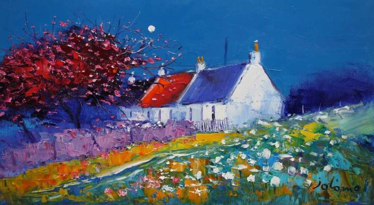 BLossoms Arinagour Isle of Coll 10x18 - John Lowrie Morrison