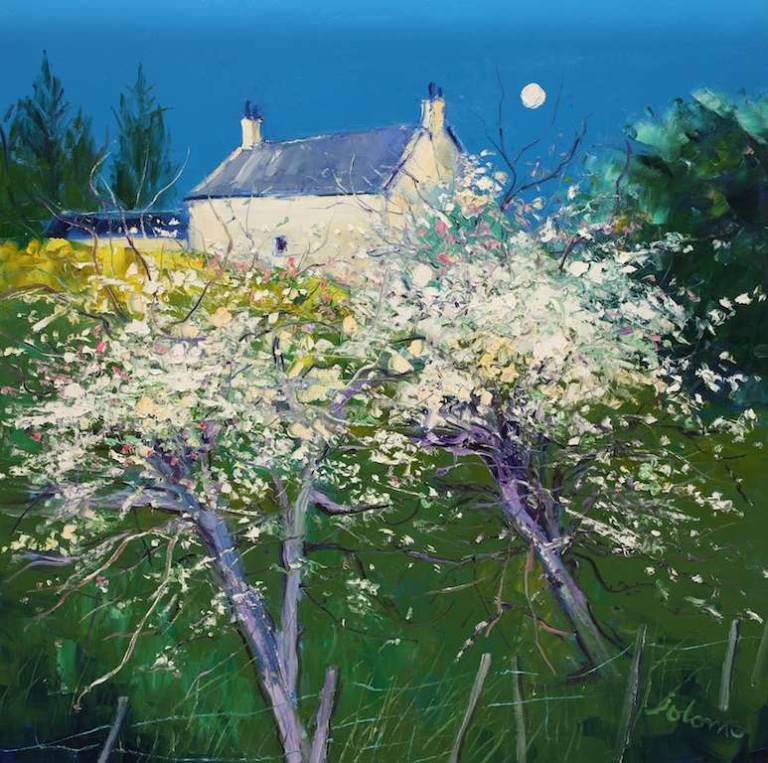 The Spring Flourish Kilchoan Ardnamurchan 30x30 - John Lowrie Morrison
