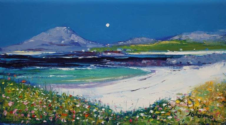 Wild Machair Flowers Halaman Bay Isle of Barra 10x18 - John Lowrie Morrison