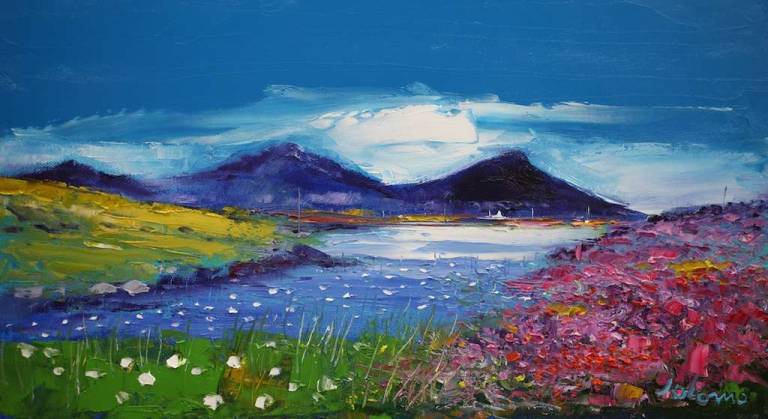 Waterlillies and Heather Daliburgh South Uist 10x18 - John Lowrie Morrison