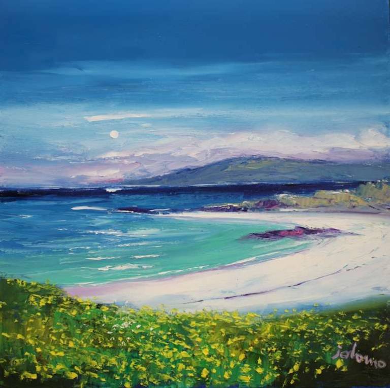 Machair Wild Flowers Isle of Eriskay 16x16 - John Lowrie Morrison