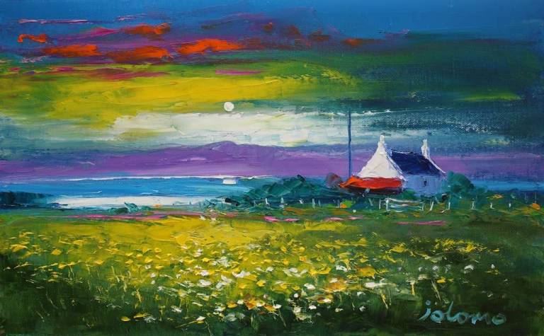 Dawnlight Field Of Wild Flowers Gigha 10x16 - John Lowrie Morrison