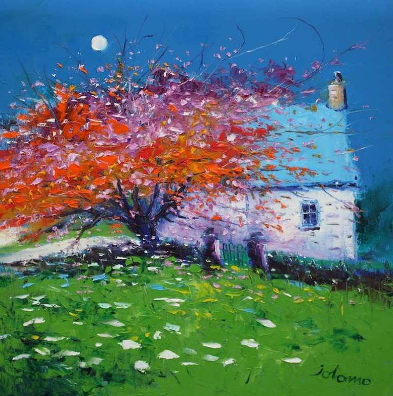 Spring Blossoms Knapdale 20x20 - John Lowrie Morrison