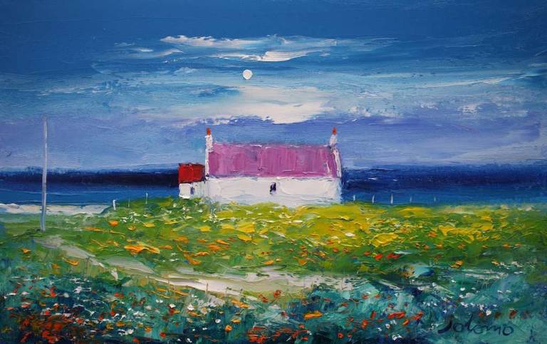 Machair Flowers On The Edge Isle Of Tiree 10x16 - John Lowrie Morrison