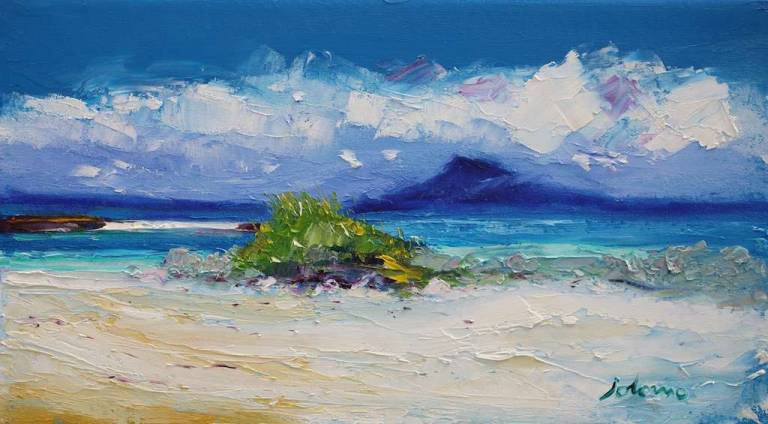 Big tuft of grass Traigh Bhan Iona 10x18 - John Lowrie Morrison