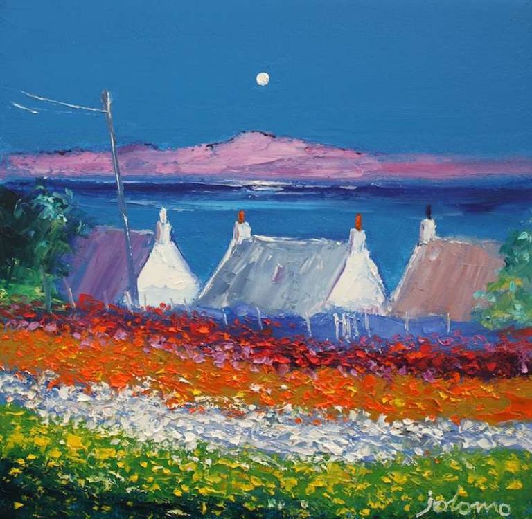 Back gardens the flower beds Isle of Iona 16x16 - John Lowrie Morrison