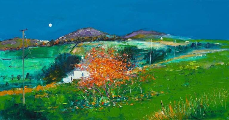 Autumnlight Kerry Fearn Croft Isle of Bute 16x30 - John Lowrie Morrison