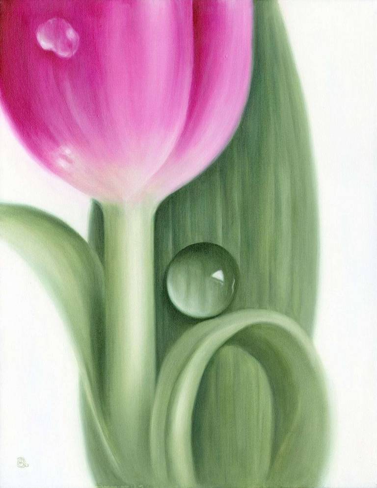 Pink Tulip - Dawn Kay