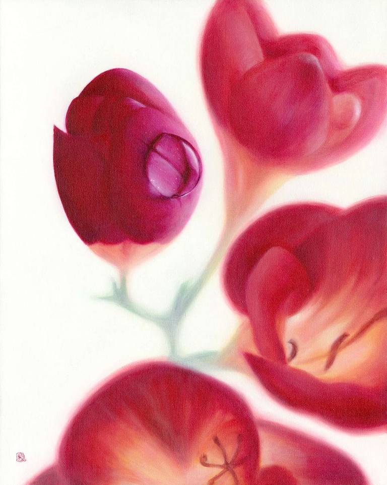 Red Freesia - Dawn Kay