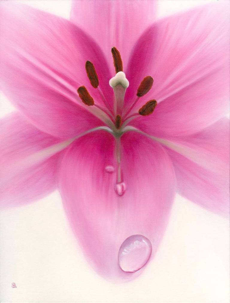 Pink Lily - Dawn Kay